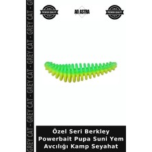 Grey Cat Özel Seri Berkley Powerbait Pupa Suni Yem Avcılığı Kamp Seyahat