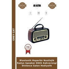 Grey Cat Bluetooth Hoparlör Nostlajik Radyo Speaker NS01 Kahverengi Dinlence Salon Hediyelik