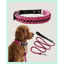 Rafta Tr El Yapımı Deri ve Paracord Köpek Boyun Tasması & Gezdirme Tasması Seti – Kalın ve Dayanıklı, Ayarlanabilir – Örgü Strong 14 (Mor & Fuşya) (Large (46-56 Cm))