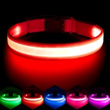 Rafta Tr LED Köpek Tasması USB Şarj EDILEBILIR%100 Su Geçirmez Ayarlanabilir Işıklı Köpek Tasması Süper Parlak Güvenlik Işığı Köpekler Için Parlayan Tasmalar (Kırmızı, Küçük)