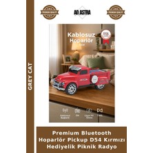 Grey Cat Premium Bluetooth Hoparlör Pickup D54 Kırmızı Hediyelik Piknik Radyo