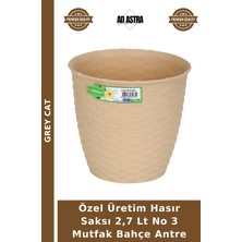 Grey Cat Özel Üretim Hasır Saksı 2,7 Lt No 3 Mutfak Bahçe Antre