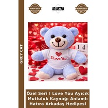 Grey Cat Özel Seri I Love You Ayıcık Mutluluk Kaynağı Anlamlı Hatıra Arkadaş Hediyesi