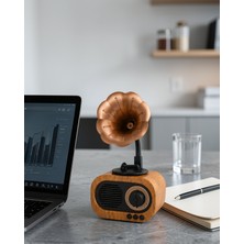 Novis Liora Kablosuz Retro Radyo Hoparlör 5W USB Hafıza Kartlı UCZZZB5RAYO-8
