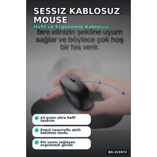Hace Bazaar Sessiz Kablosuz Mouse - 43 gr Hafif USB Optik Fare, 10 Metre Çekim Alanı BX-315972