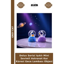 Grey Cat Delux Serisi Işıklı Mini Sevimli Astronot Kar Küresi Gece Lambası Objesi