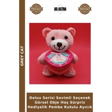 Grey Cat Delux Serisi Sevimli Seçenek Görsel Obje Hoş Sürpriz Hediyelik Pembe Kutulu Ayıcık