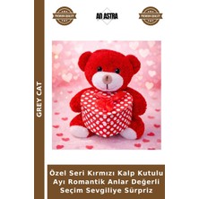 Grey Cat Özel Seri Kırmızı Kalp Kutulu Ayı Romantik Anlar Değerli Seçim Sevgiliye Sürpriz