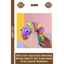 Grey Cat Özel Seri Oyuncak Sümüklü Böcek Eğitici Set Ergonomik Ürün Çocuk Hediyesi