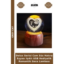 Grey Cat Delux Serisi Cam Süs Hatıra Eşyası Işıklı USB Hediyelik Romantik Gece Lambası