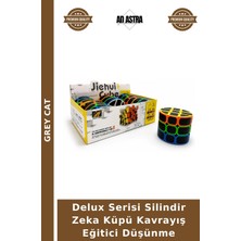 Grey Cat Delux Serisi Silindir Zeka Küpü Kavrayış Eğitici Düşünme
