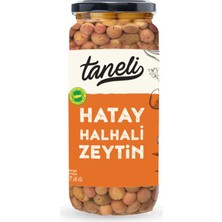 5 Adet Taneli Hatay Halhali Zeytin 819-920 300 G