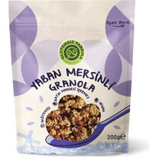 5 Adet Glutensiz Fabrika Yaban Mersinli Karabuğday Granola 200G