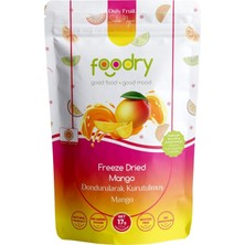 5 Adet Foodry Freeze-Dried Dondurularak Kurutulmuş Mango 17 G