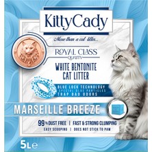 4 Adet Kitty Cady Marseille Breeze Kedi Kumu 5 L
