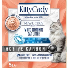 4 Adet Kitty Cady Active Carbon Kedi Kumu 5 L