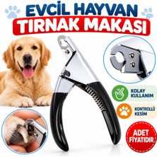 Marka Kolik Evcil Hayvanlarınız Için Tırnak Makası (Adet Fiyatıdır)