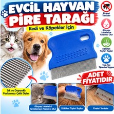 Marka Kolik Evcil Hayvan Kedi Köpek Pire Tarağı ve Köpek Gözyaşı Lekesi Tarağı(Adet Fiyatıdır)