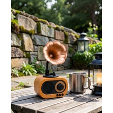 Teknodayım Mini Retro Radyo Bluetooth Hoparlör UCZZZB5RAYO-7