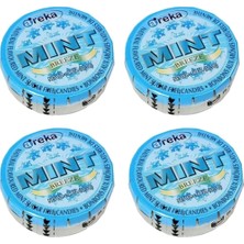 TeknoKapsül Areka Mint Naneli Şeker 11.5 gr x 4 Adet