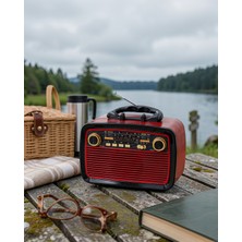 Dolapmix Bluetooth Hoparlör Ahşap Görünümlü Vintage Işıklı UCZZZZKTF1467RADYOOOO3-1