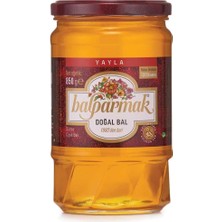 TeknoKapsül Balparmak Yayla Çiçek Balı 850 gr