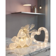 Vavis Kalp Figürlü LED Neon Işık Uczzzkalpşeklindeled-2