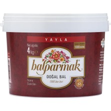 TeknoKapsül Balparmak Yayla Çiçek Balı 4 kg Kova