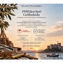TeknoKapsül Selahattin Kemerli Kızmarka Kızlı Sardalya, 125 Gr, Teneke Ambalaj