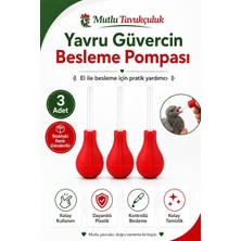 TemmuzX Güvercin Besleme Aparatı, Sıkılabilir Gövdeli Manuel Mama Pompası 3 Adet