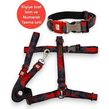 TemmuzX Isimli-H Tipi Köpek Tasma Seti-(Göğüs+Boyun+Gezdirme-Isme Özel) Köpek Göğüs Tasması-Orta-Büyük Irk Desen2-L