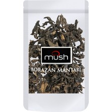 3 Adet Mush Kuru Borazan Mantarı