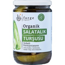3 Adet Farge Organik Salatalık Turşusu 600 G