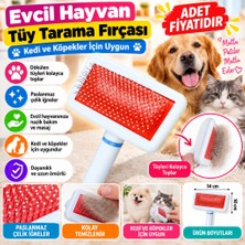Marka Kolik Paslanmaz Evcil Hayvan Kedi Köpek Tüy Tarama Toplama Fırçası Kolay Temizlenir Bakım Aleti(Adet Fiyatıdır)