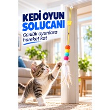 Mucit Home Kedi Solucanı Elastik Yapışkanlı Kapı Kedi Oyun Solucanı