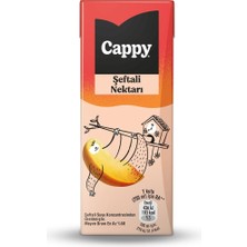 TeknoKapsül Cappy Şeftali Nektarı Karton Kutu 27X200 ml