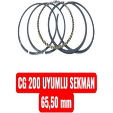 Cg 200 Uyumlu Sekman 65,50 mm Erpilsan Elektronik