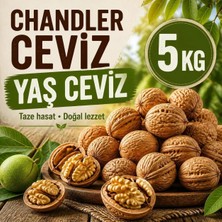 2026 Üreticiden Samsun Yerli Chandler Ince Kabuklu Ceviz Seçilmiş Yaş 5kg