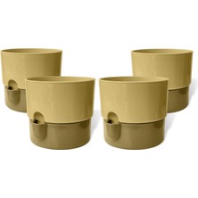 TemmuzX Dora Saksı Tabaklı Çiçek Kaktüs Saksısı Parlak Plastik Saksı (4 Adet, Krem, 2l, 16CM)