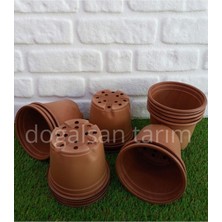 TemmuzX Çiçek Saksısı 15X13 cm 15 Adet Fide Saksısı Thermoform Tohum Ekim Saksısı Vakum Saksı Bitki Saksısı Kahverengi