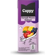 TeknoKapsül Cappy Karışık Meyve Nektarı Karton Kutu 27X200 ml