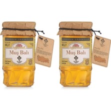TeknoKapsül Balparmak Anadolu Lezzetleri Muş Çiçek Balı 460 G (2 Paketi)