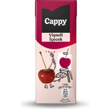 TeknoKapsül Cappy Vişneli Içecek Karton Kutu 27X200 ml