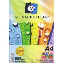 Alex Schoeller A4 Renkli Fotokopi Kağıdı 10 Renk - 100 Adet ALX-779