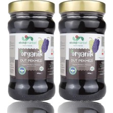 TeknoKapsül Ekoloji Market Organik Dut Pekmezi 380 gr (2 Paketi)