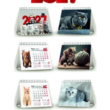 Orkide Matbaacilik Üçgen Takvim Kedi Resimli 13 Yaprak - 2027