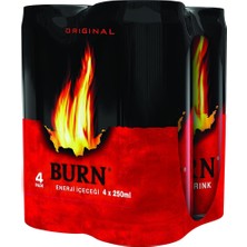 TeknoKapsül Burn Enerji Içeceği Kutu 4X250 ml