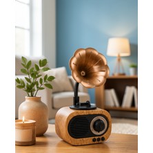 Alemdar Pazarlama Retro Tasarımlı Mini Bluetooth Hoparlör ve Fm Radyo Çoklu Medya Yeni Nesil