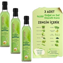 TeknoKapsül Hanzade Bitkisel Sıvı Klorofil Kürü Buğday Çimi Ilaveli Bitki Ekstraktları 500 ml x 3 Adet Cam Şişe