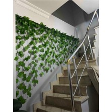TemmuzX Sarmaşık 12'li Uzunluk 2 Metre 30CM